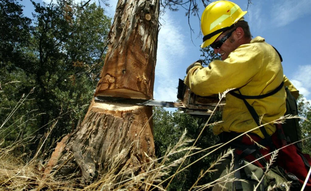 Tree Care Solutions